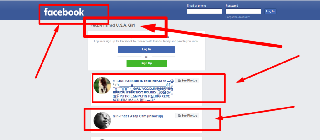 Buy USA Facebook Accounts